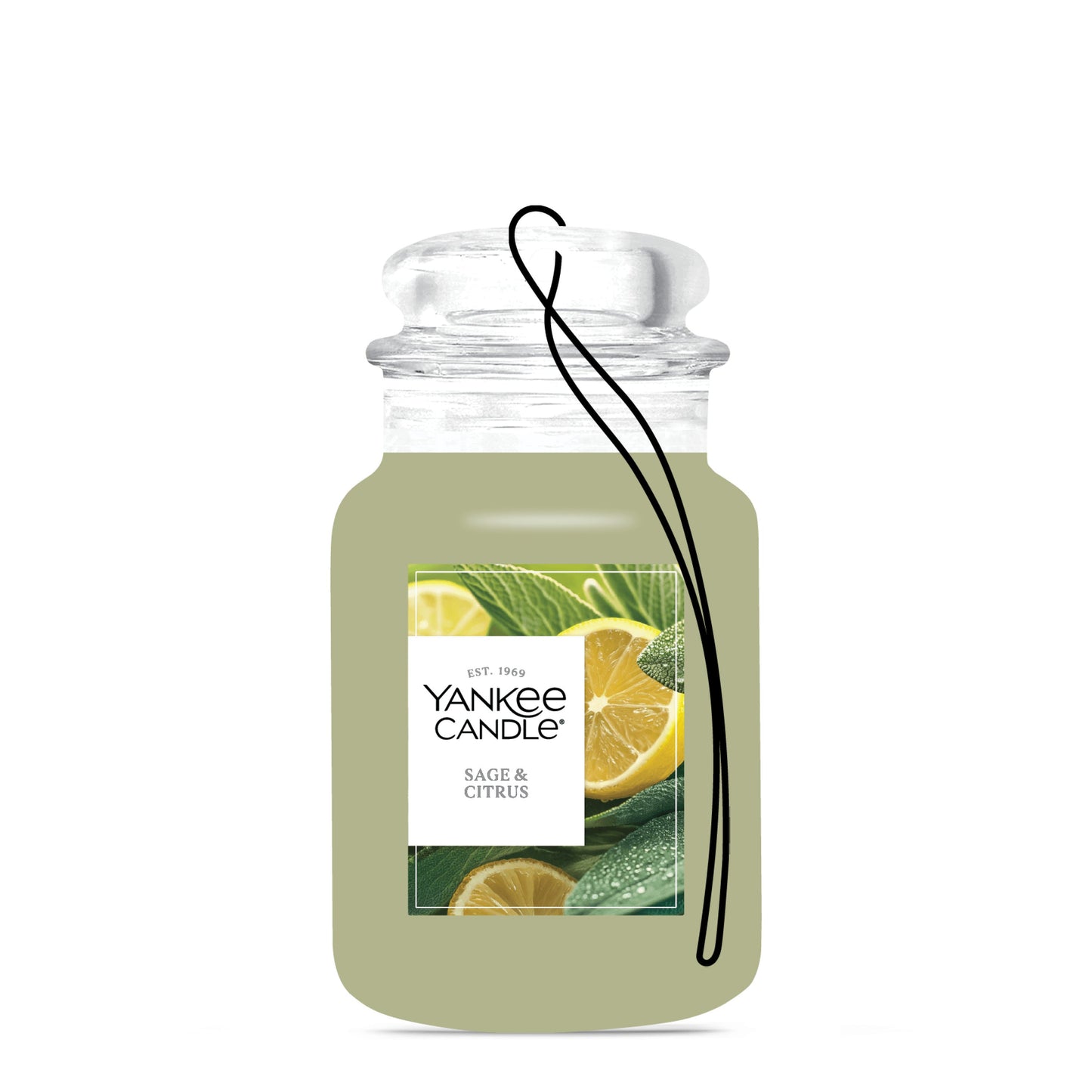 Sage & Citrus Studio 2-0854