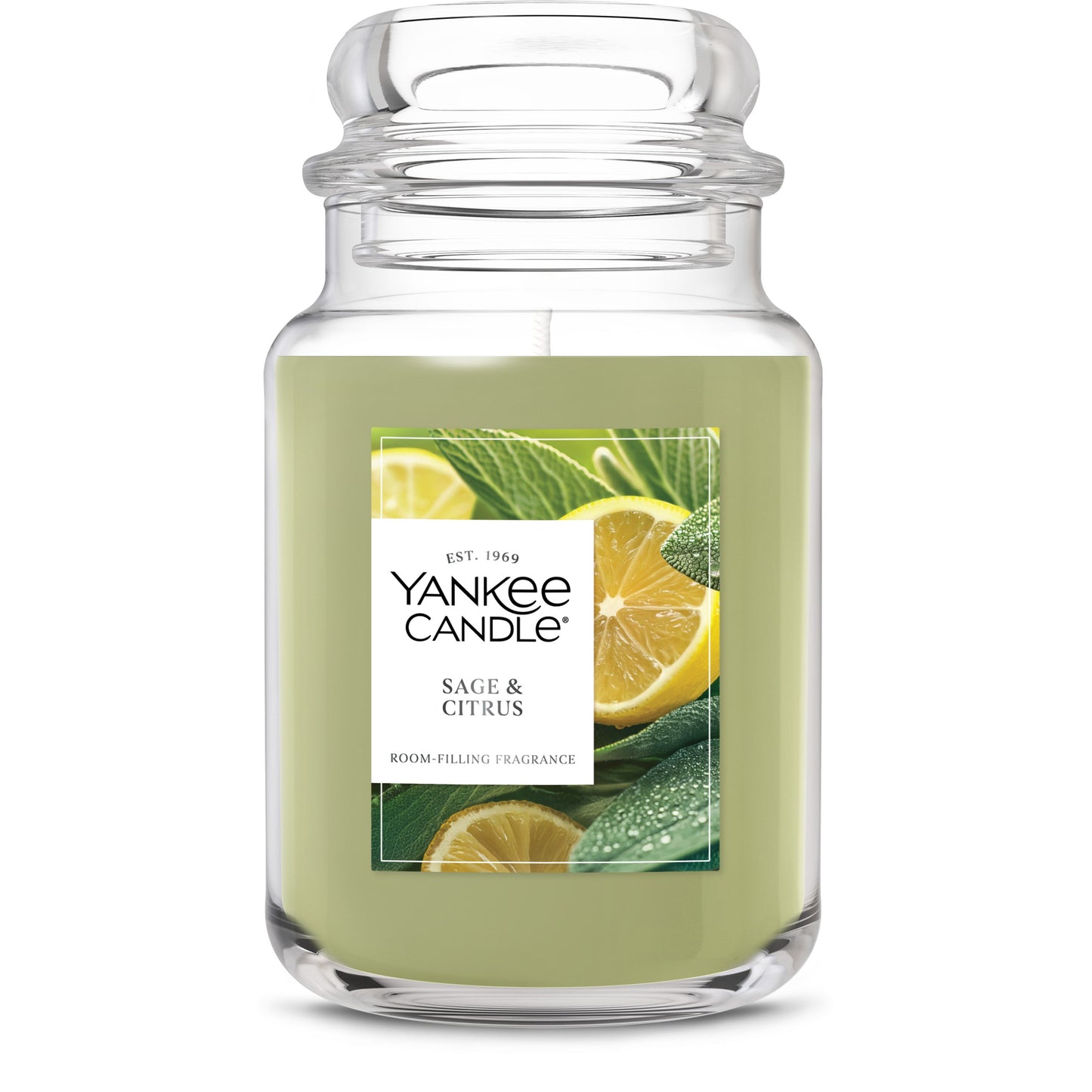 Sage & Citrus Studio 2-0854